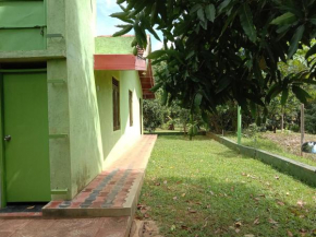 Nebula Farm House